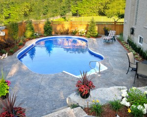 Swimming pool with privacy fence