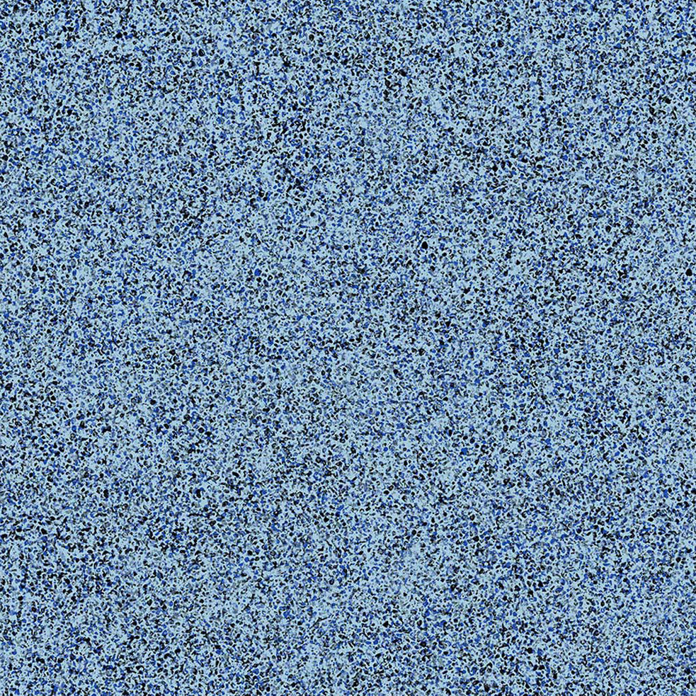 blue cypress